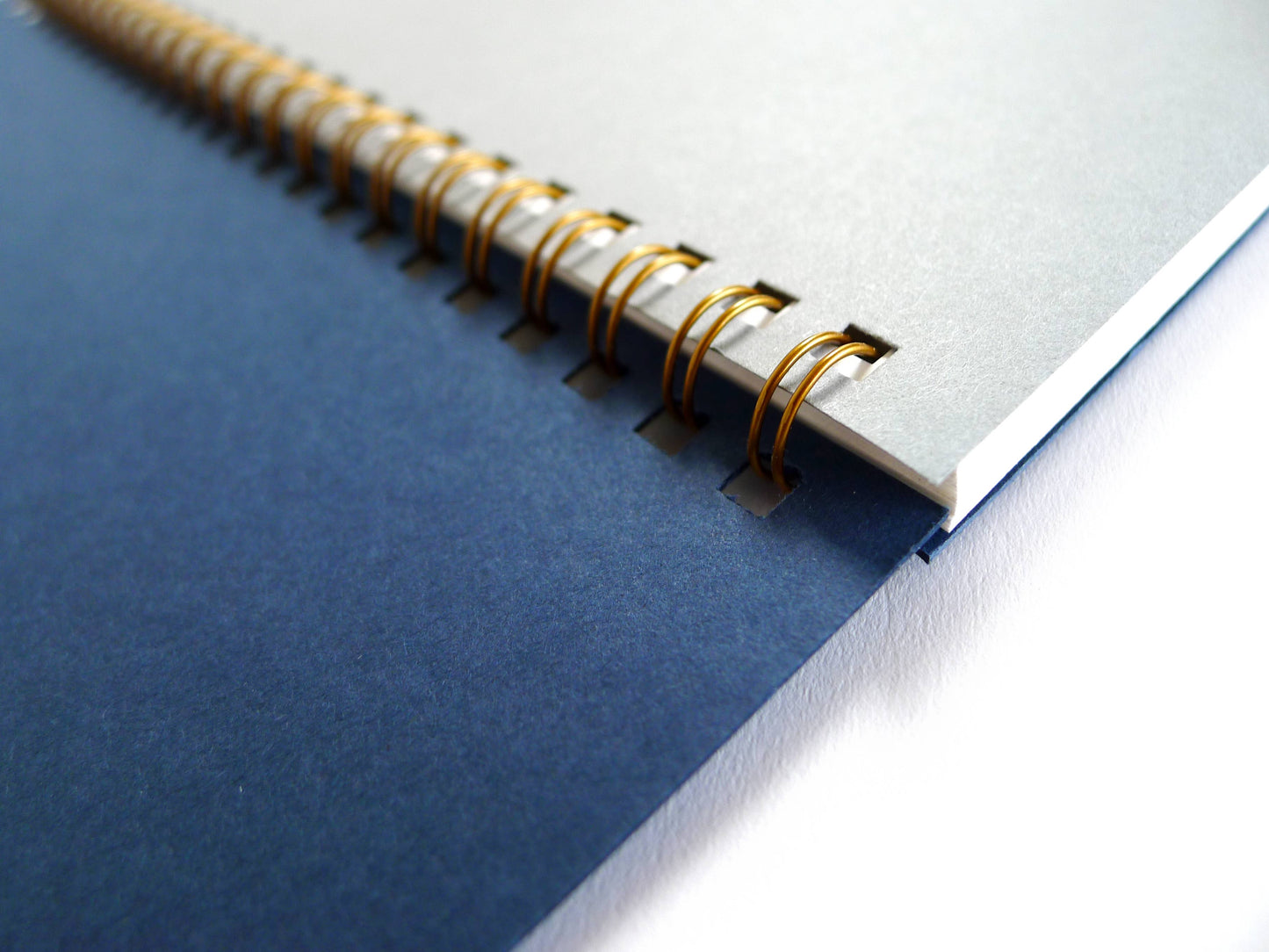 Snake Rising Coil Large Notebook