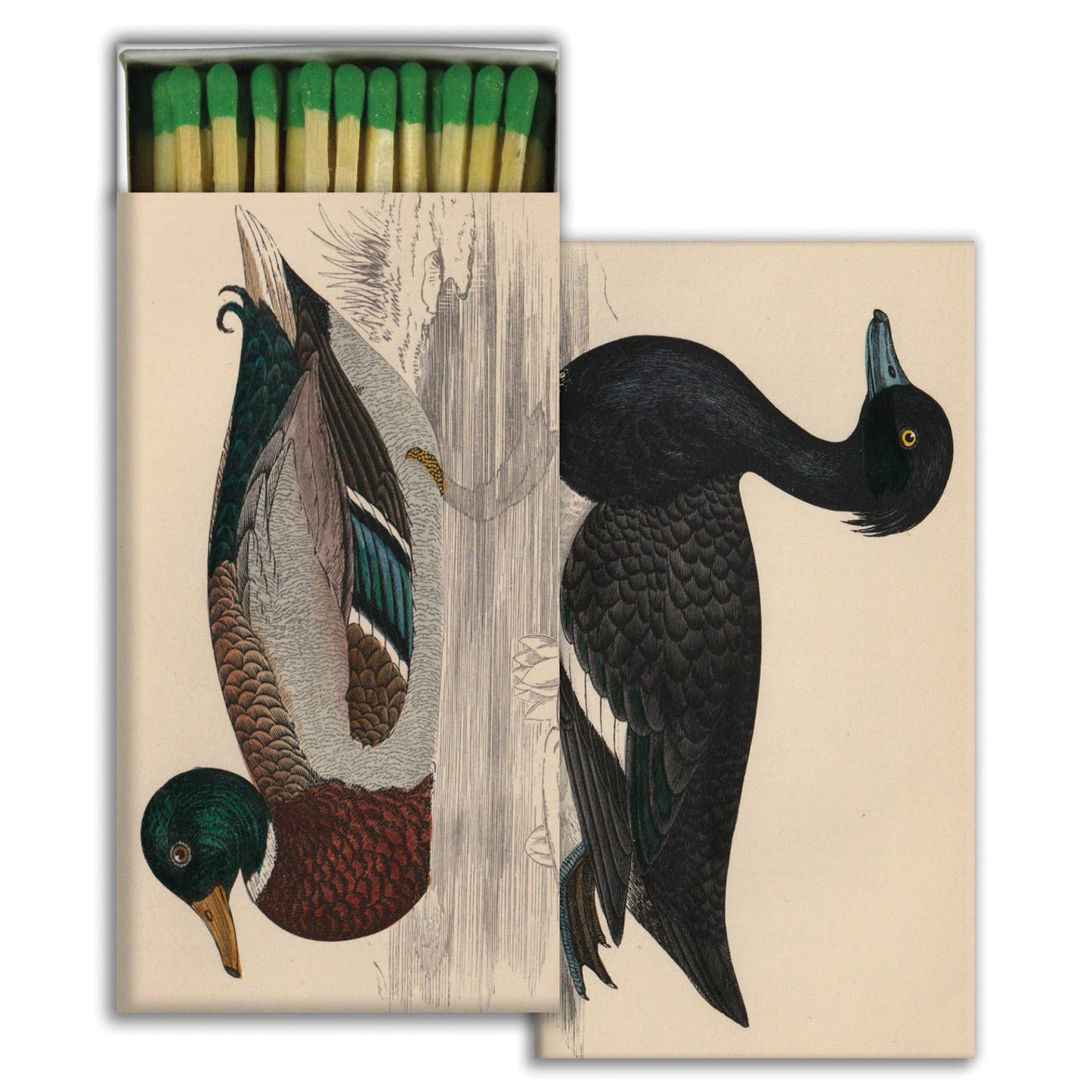 Ducks Matches