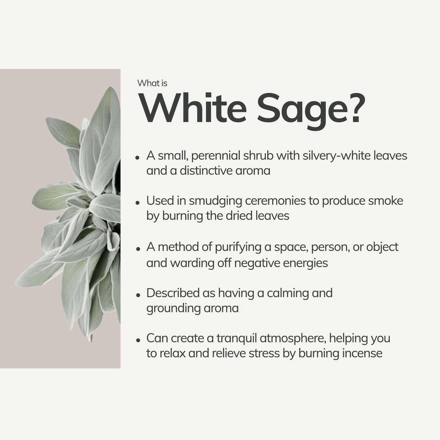 White Sage Hand-rolled Incense Sticks