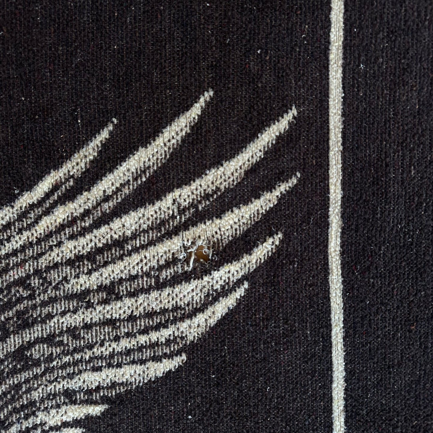 Eagle Blanket/Wall Tapestry