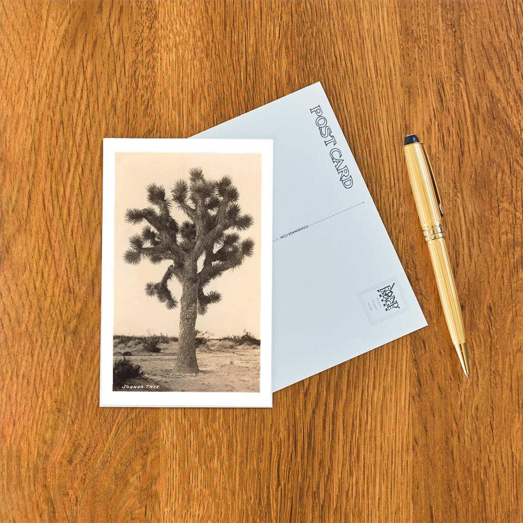 Joshua Tree Postcard