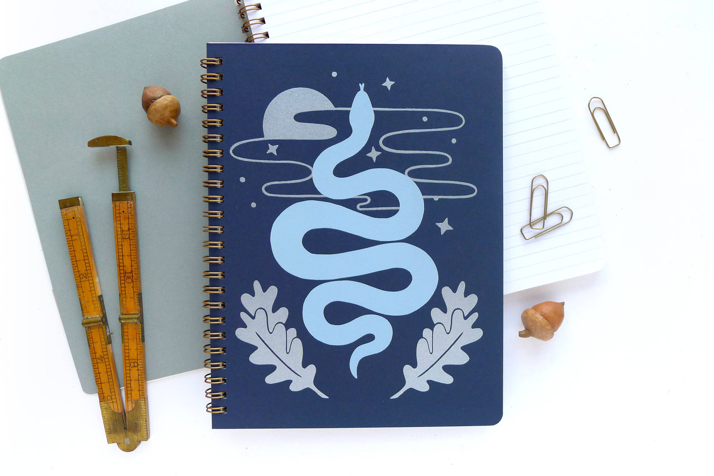 Snake Rising Coil Large Notebook