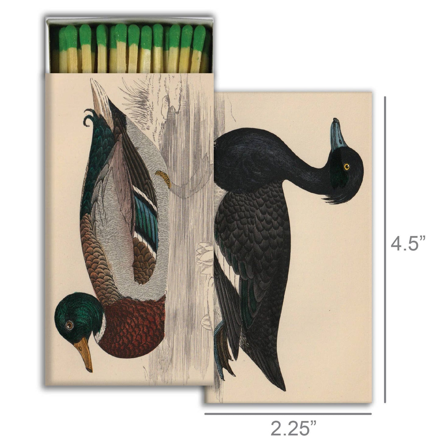 Ducks Matches
