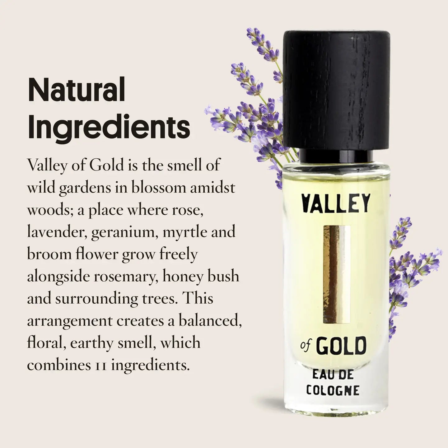 Valley of Gold Eau De Cologne 10ml