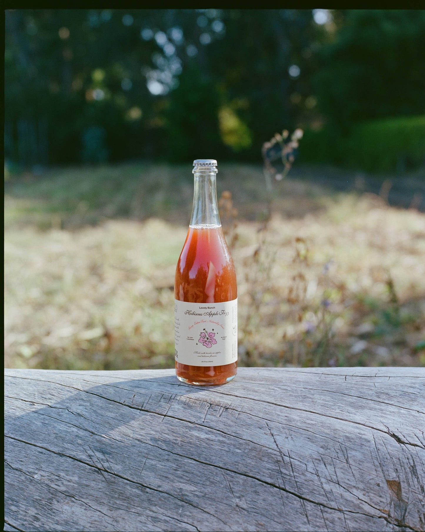 Hibiscus Apple Fizz 750ml Bottle