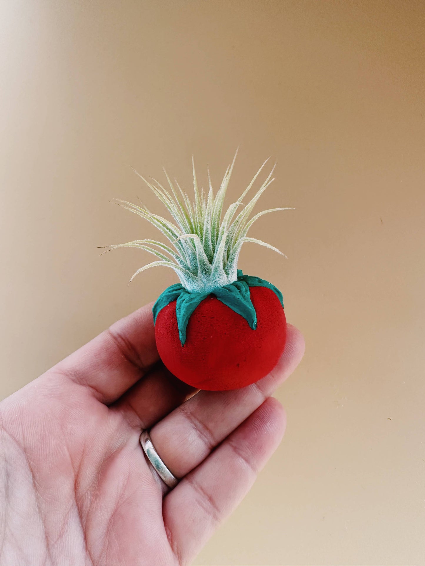 Tomato Mini Planter with Air Plant