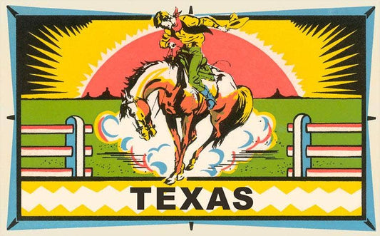Bucking Bronco Postcard