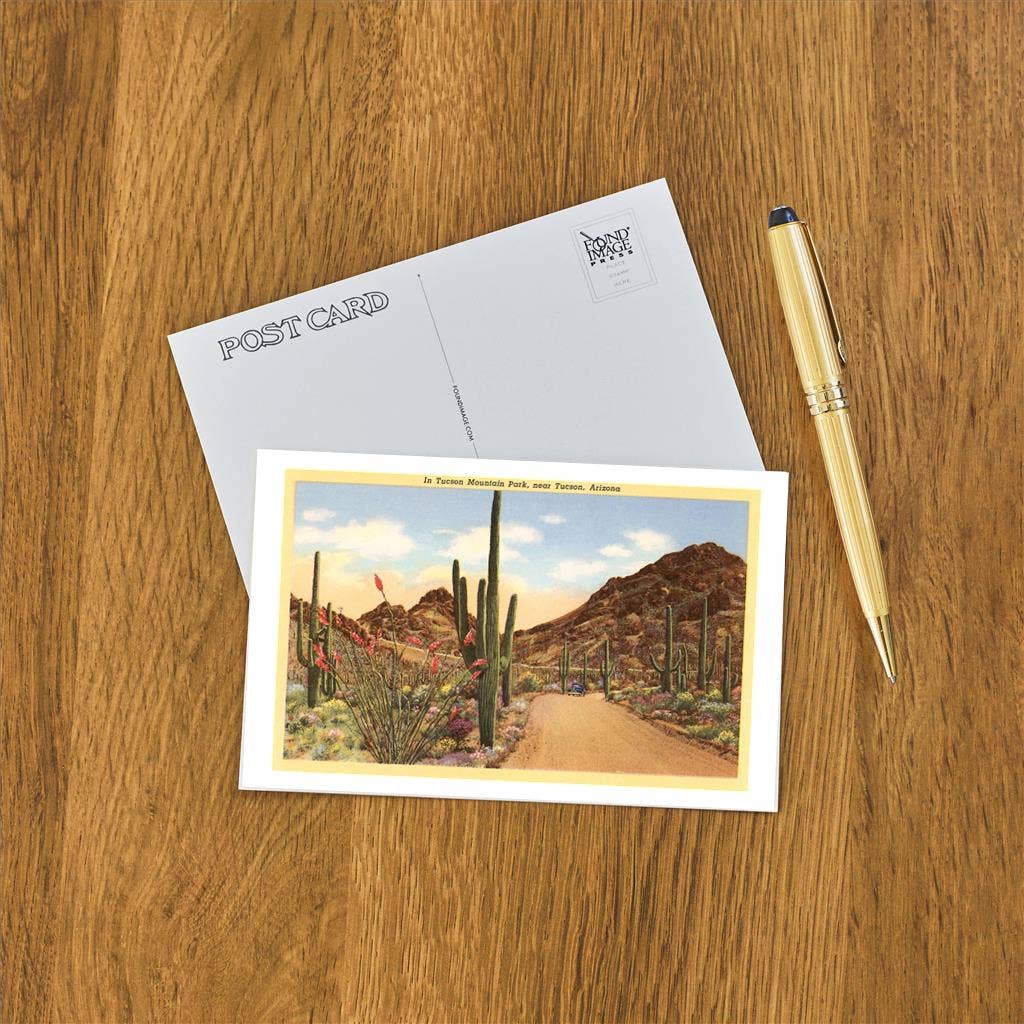 Saguaros and Ocotillo, Tucson Postcard
