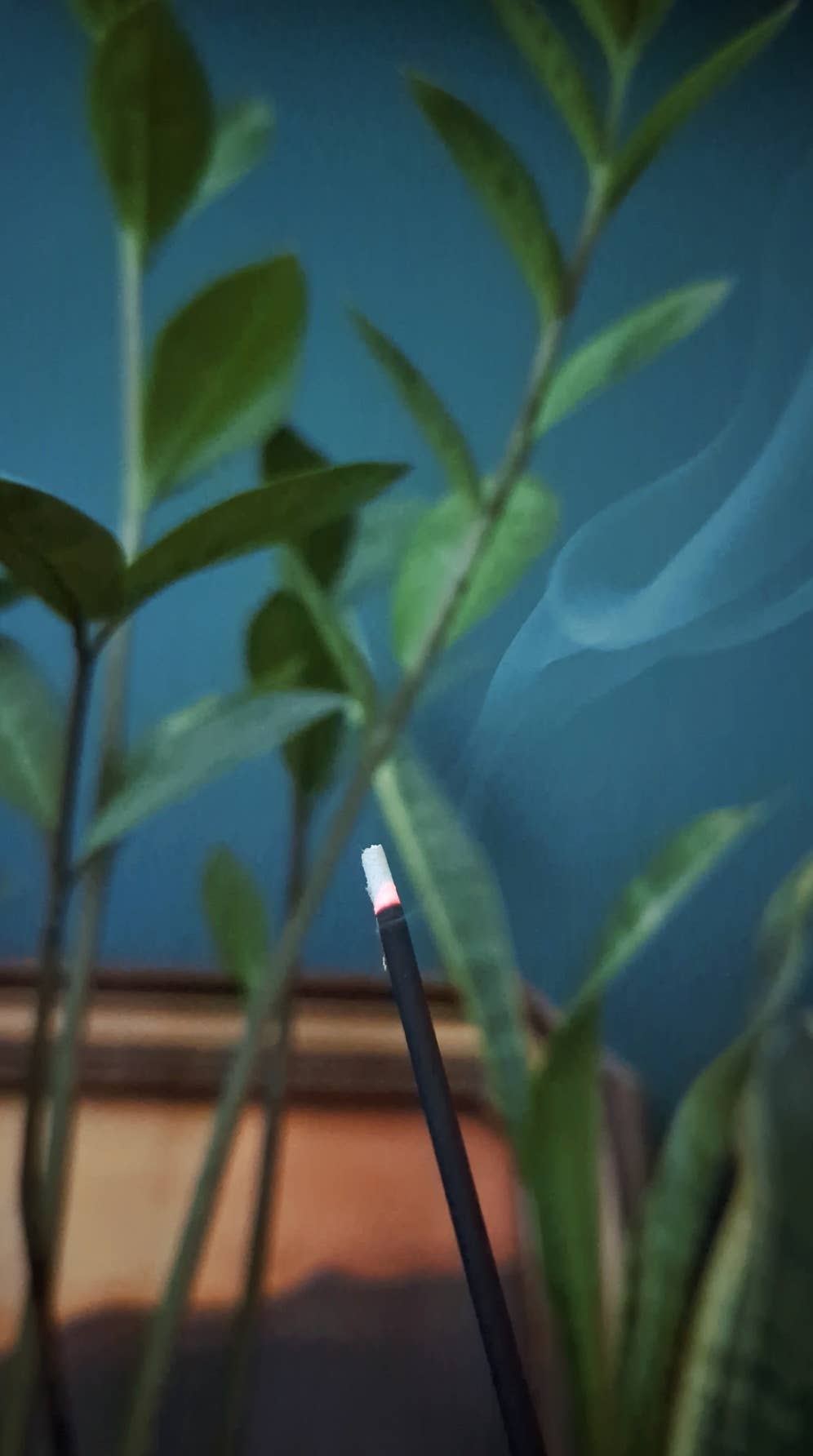 Santal & Fig Charcoal Incense Sticks
