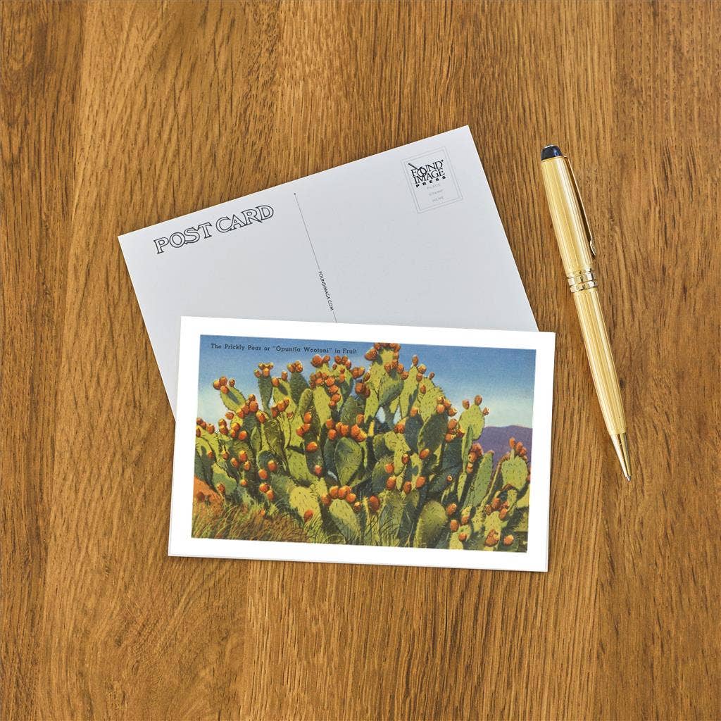 Prickly Pear Cactus in Fruit Postcard