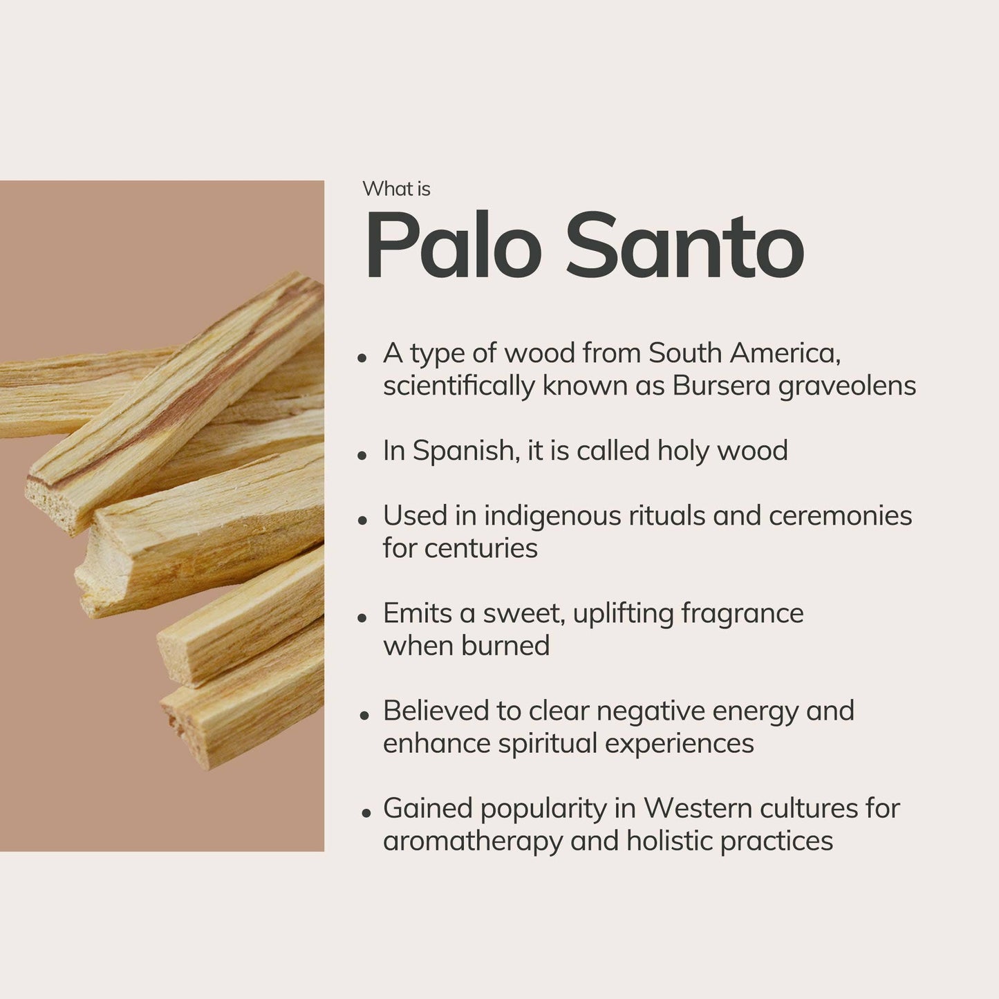 Palo Santo Hand Rolled Incense Sticks