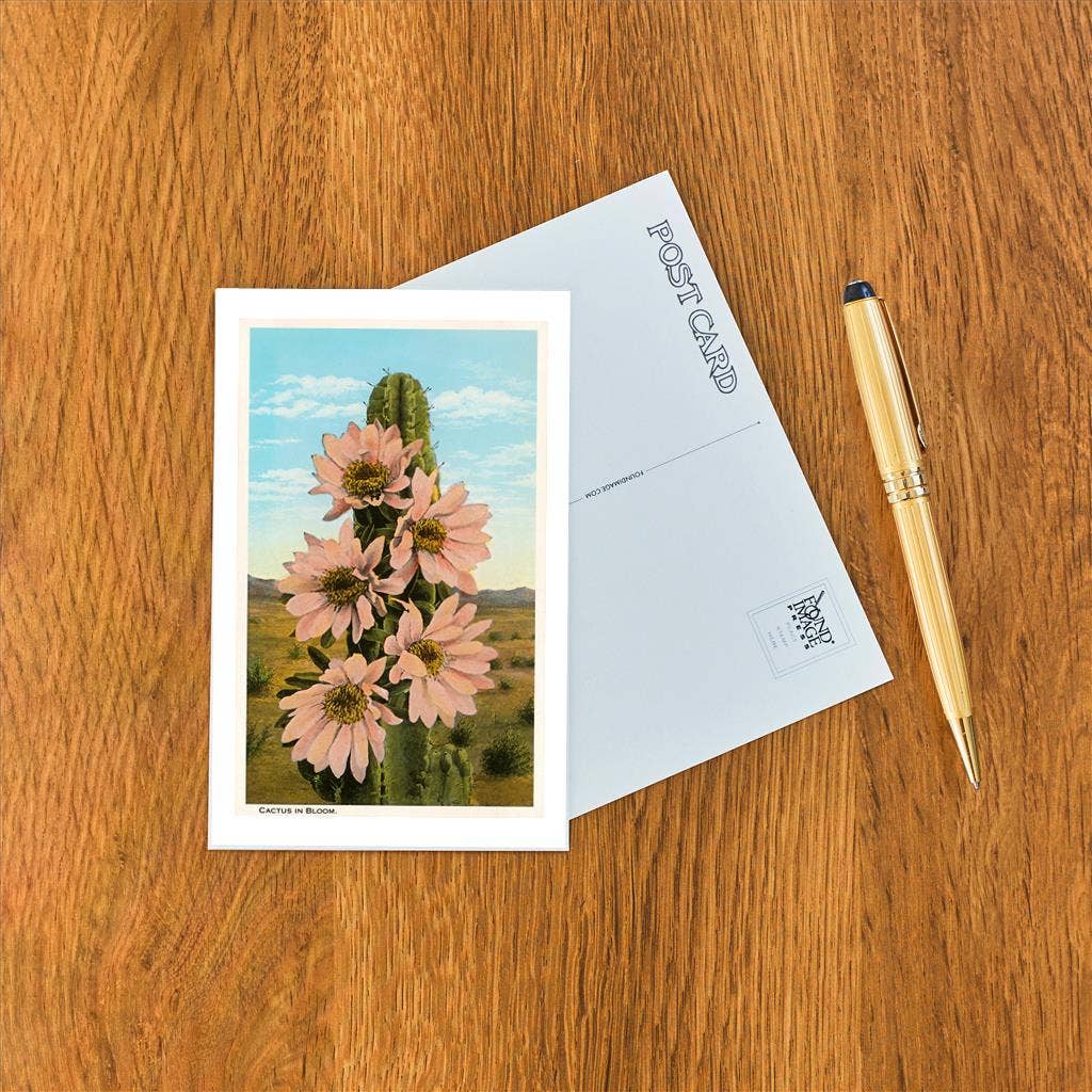 Cactus in Bloom Postcard