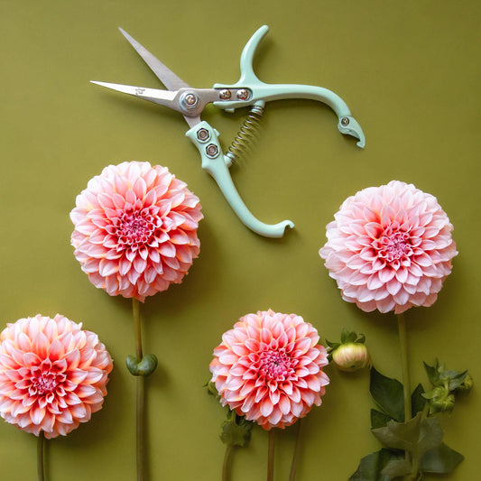Pruning Shears | Lagoon