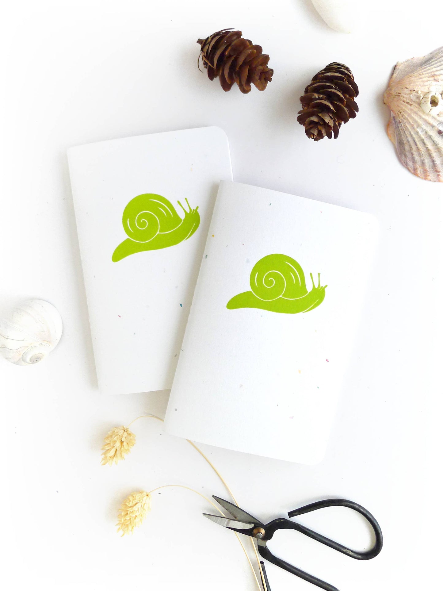 Snail Jotter