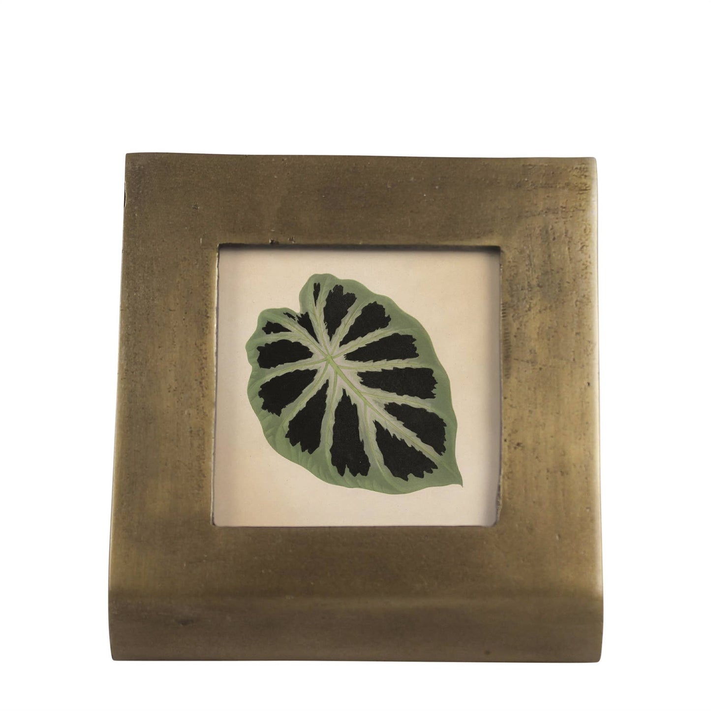 Ridley Picture Frame 4x4